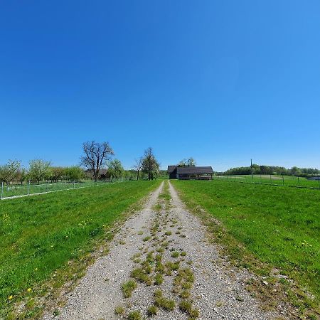 Zielone Zagrody - Stafieje Villa Grodzisko Dolne Dış mekan fotoğraf